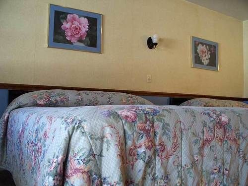 Roscoe Motor Inn Coshocton Dış mekan fotoğraf